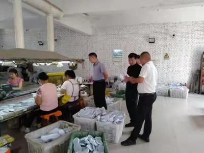 陈林率队赴福建、浙江、石家庄等地考察招商